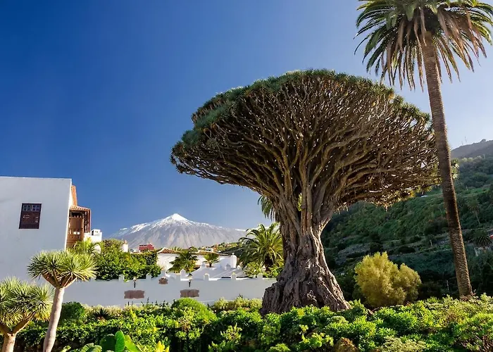 Eden Casa Salitre Neptuno Playa La Arena Apartment Puerto de Santiago (Tenerife)