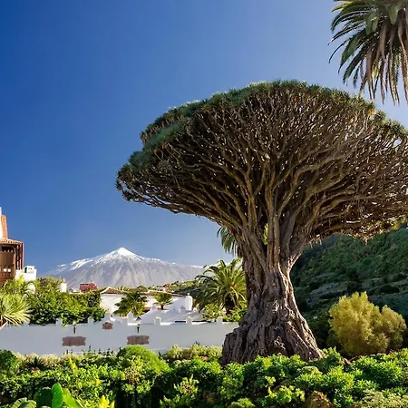 Eden Casa Salitre Neptuno Playa La Arena Appartement Puerto de Santiago (Tenerife)